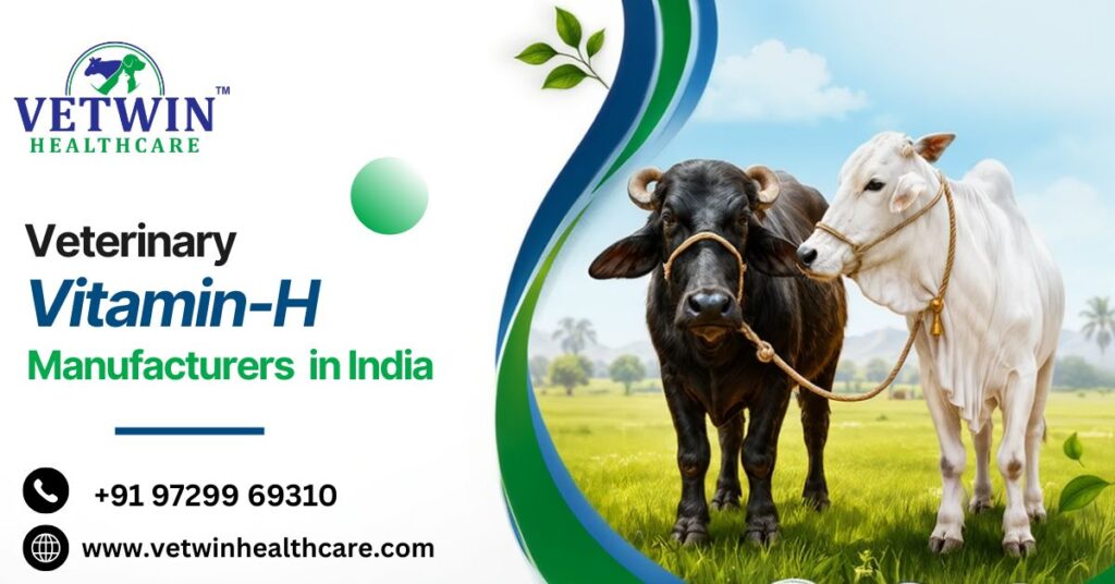 Veterinary Vitamin-H Manufacturers in India