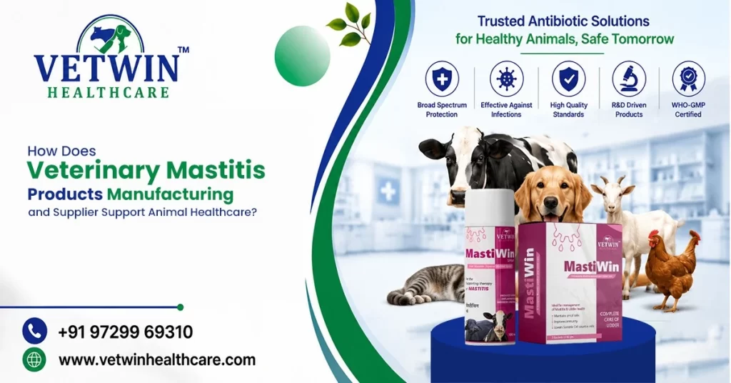 Veterinary Mastitis Products Manufacturing and Supplier