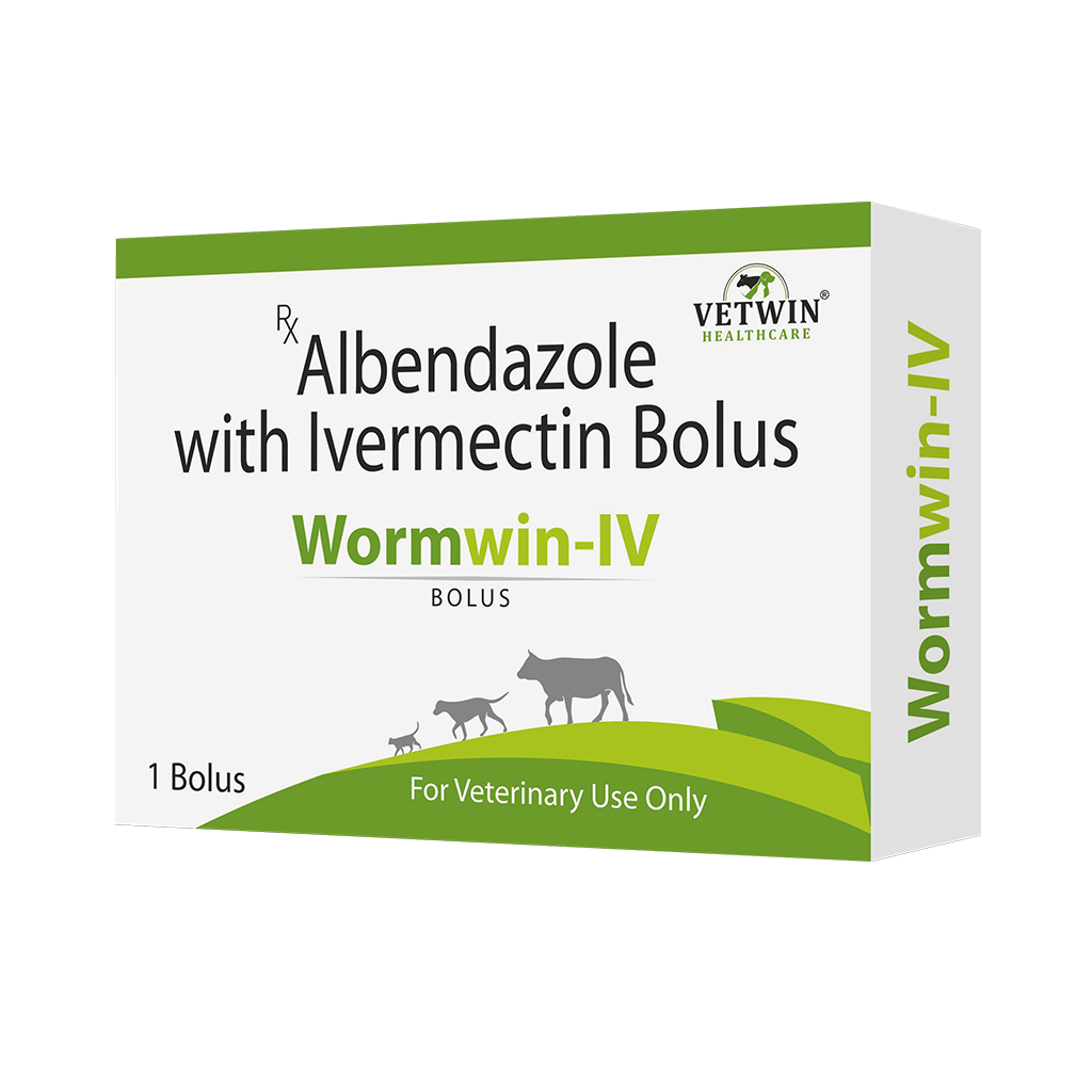 Wormwin-IV Blous